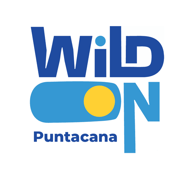 Wild On Tours